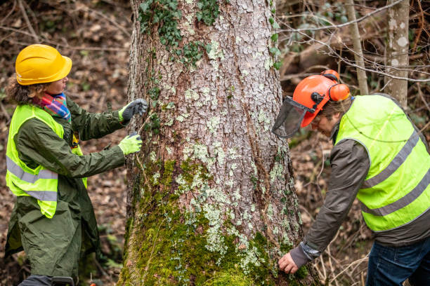 Best Utility Line Clearance  in Delavan Lake, WI